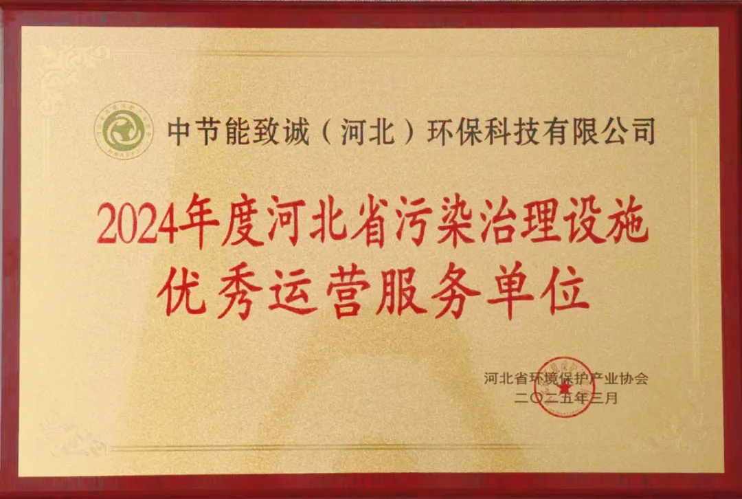白小组资料大全