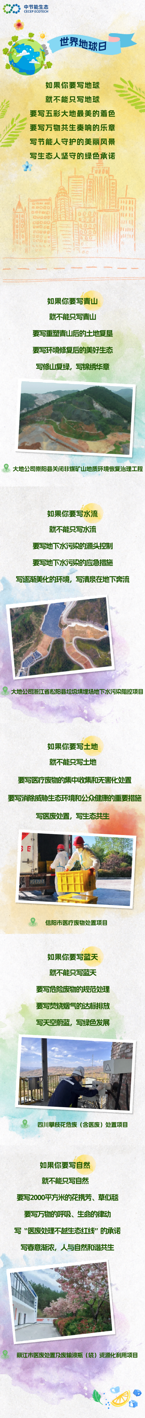 白小组资料大全